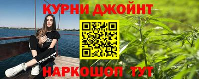 сатива Новокубанск