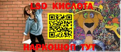spice Новозыбков