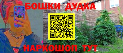 сатива Новокубанск