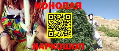 spice Новозыбков