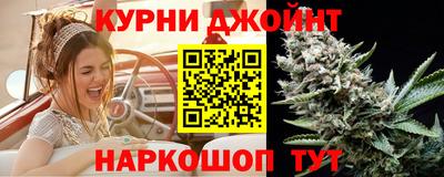 сатива Новокубанск
